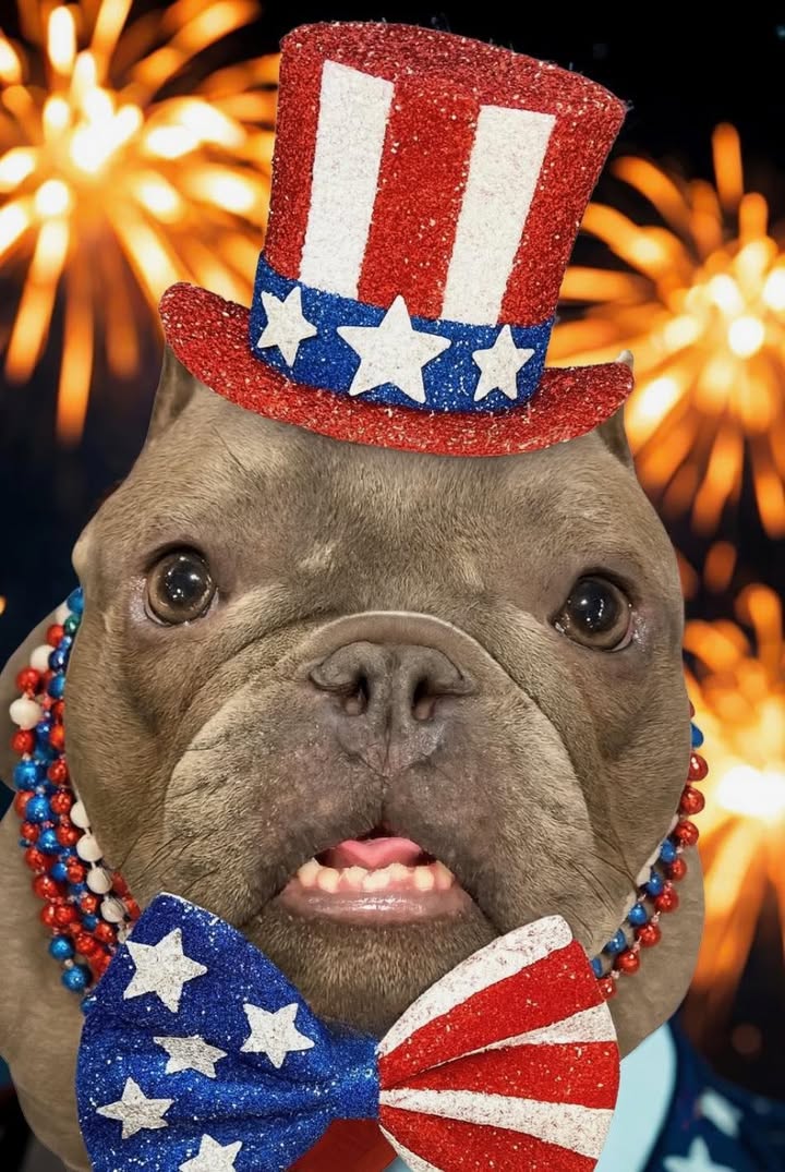 FOURTH OF JULY SCHEDULE