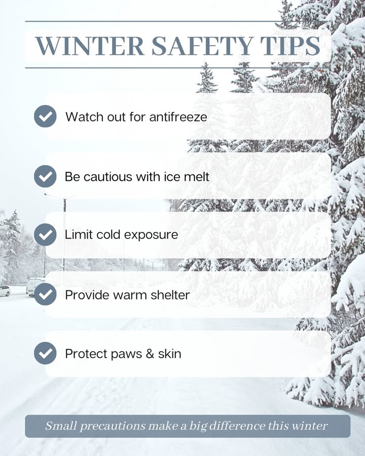 🧊 It’s been cold lately, and the forecast shows more chilly days ahead