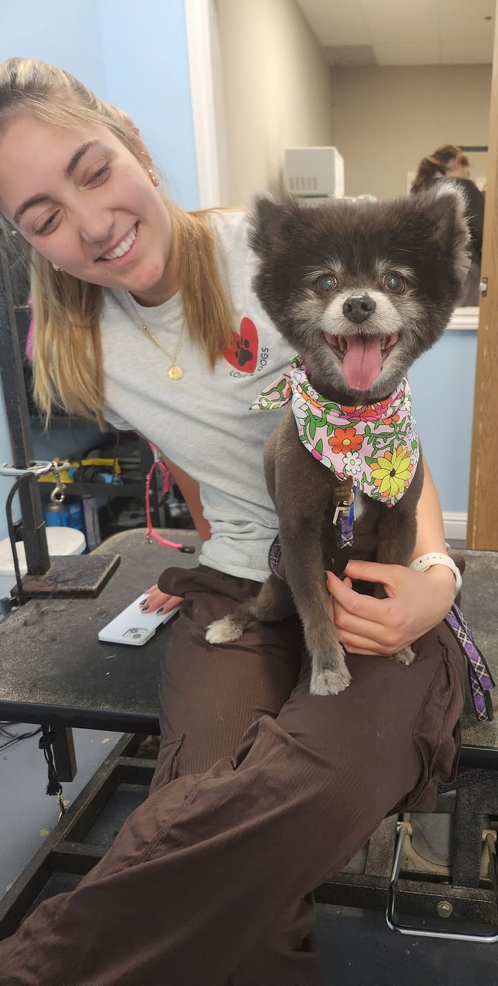 Loving Life at Love 4 Dogs! ❤️🐾