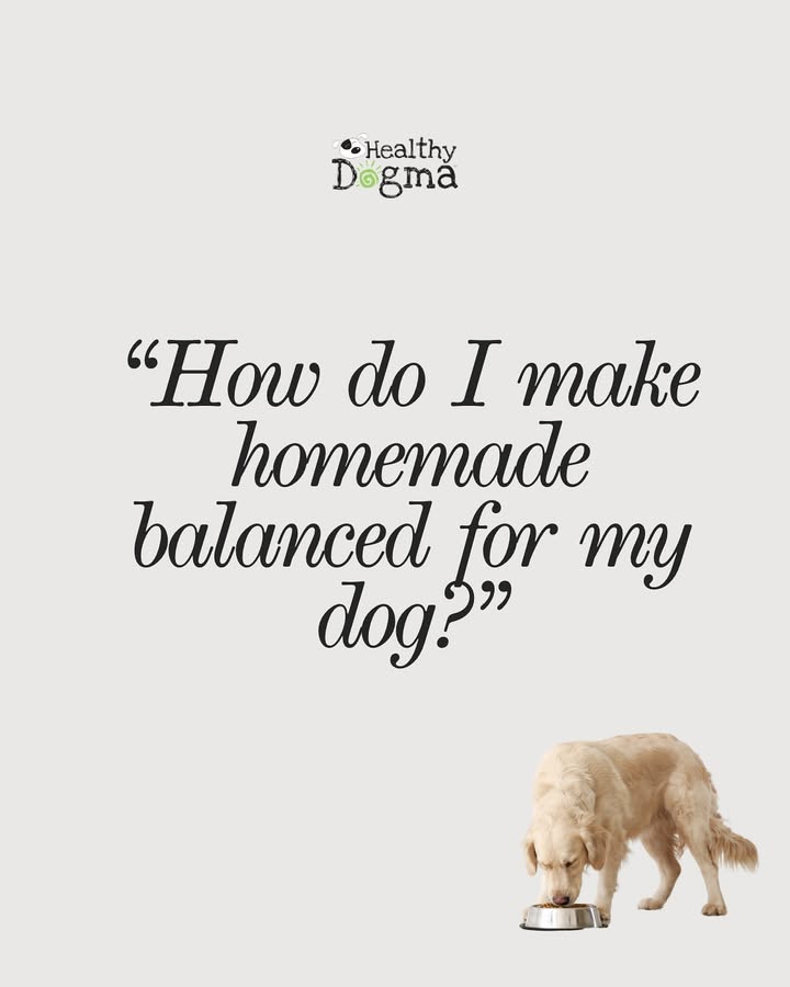 We make homemade easy!