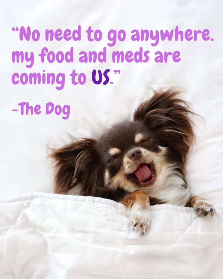 Have you tried ordering your pet's food & meds from our online pharmacy yet?