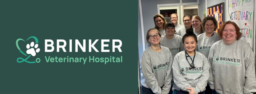 Brinker Veterinary Hospital's cover photo