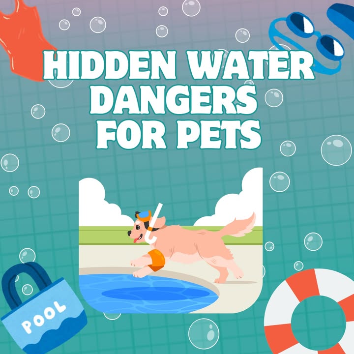 With the hotter weather comes water activities!
