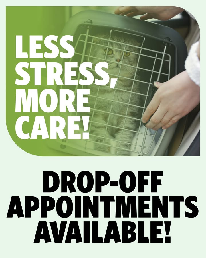 Drop-off appointments are perfect for pet parents on the go