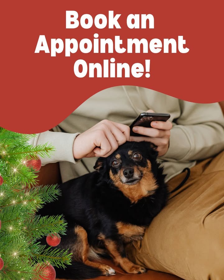 The holidays get busy fast!