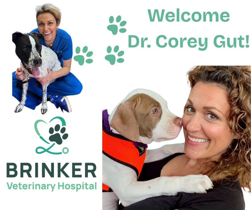 We are so excited to announce that Dr