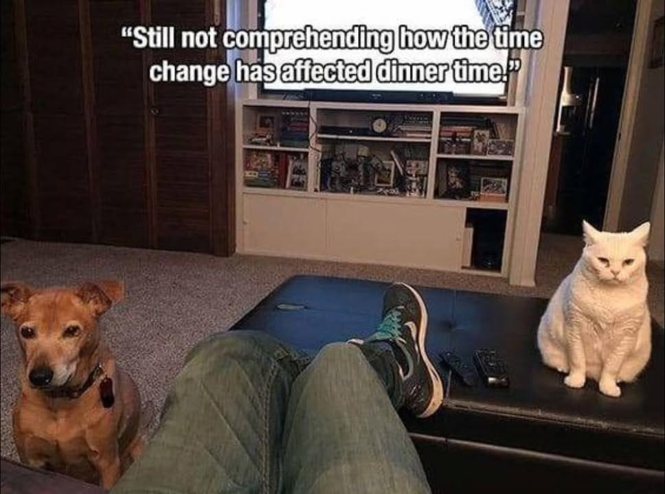 Does changing the clock change dinner time?!