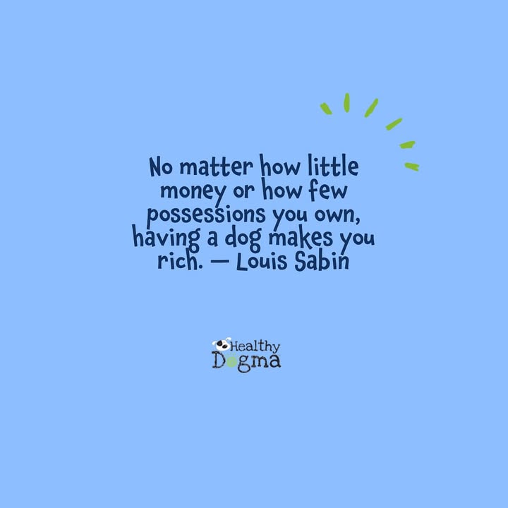 🐾 They may not fill your wallet, but they’ll fill your heart a thousand times over