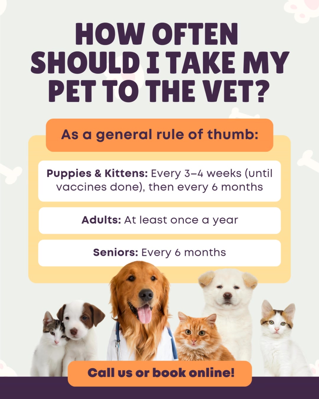 Prevention is everything when it comes to helping your pet live well