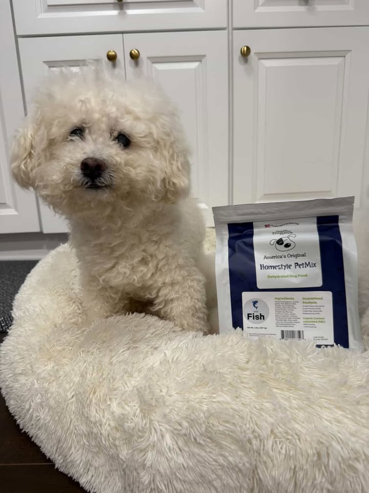 Photos from Healthy Dogma's post