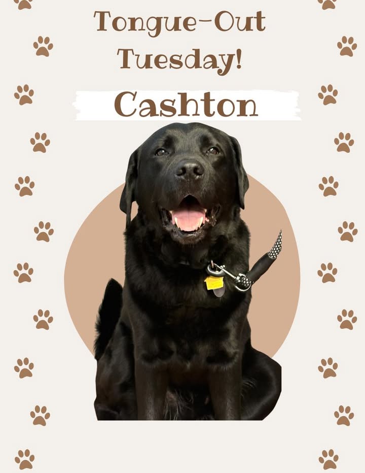 Cashton recently saw Dr