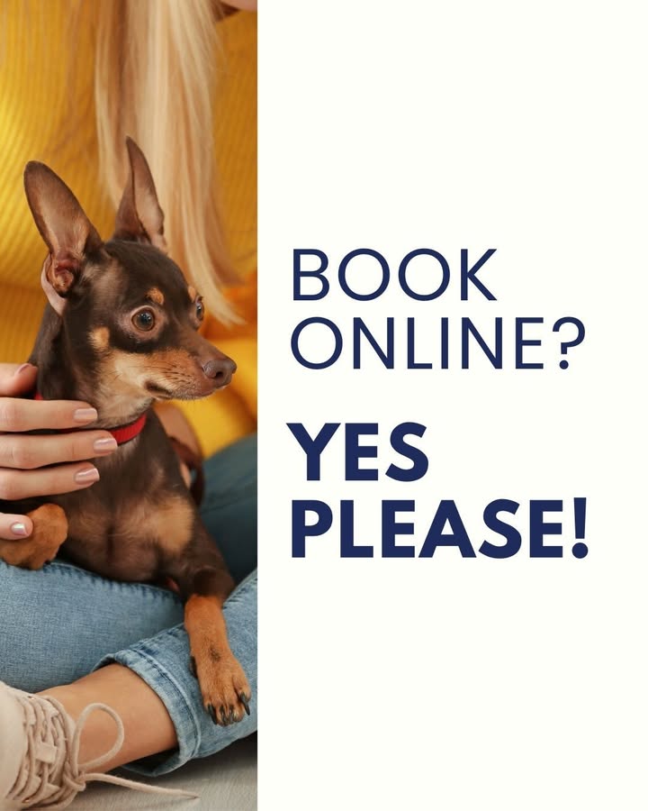 Book a vet appointment on YOUR watch