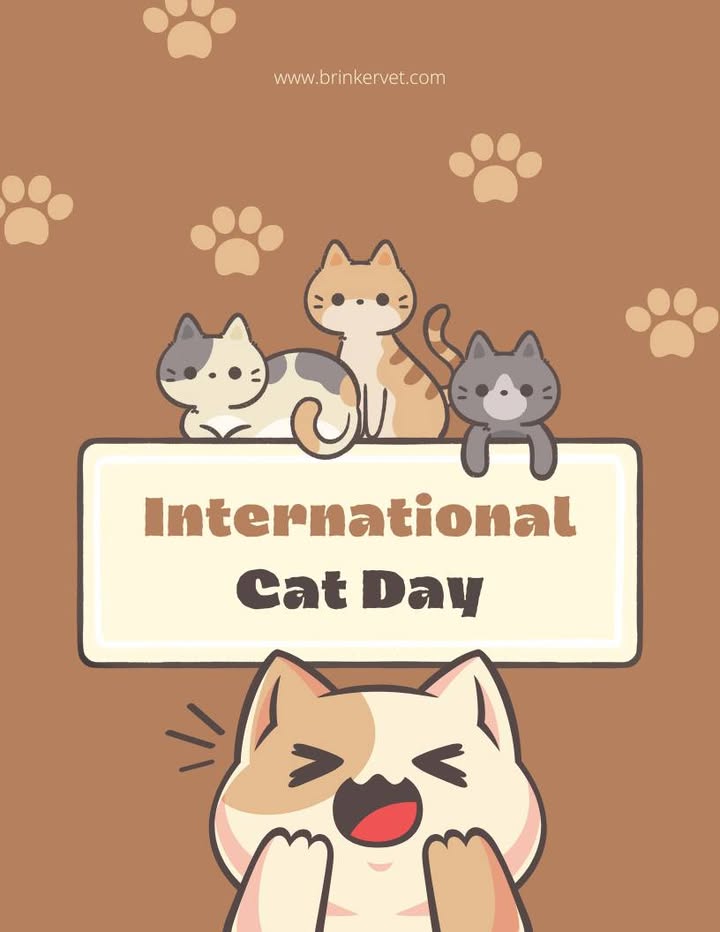 Happy International Cat Day!