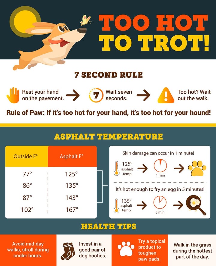A post from Orion Animal Care Center