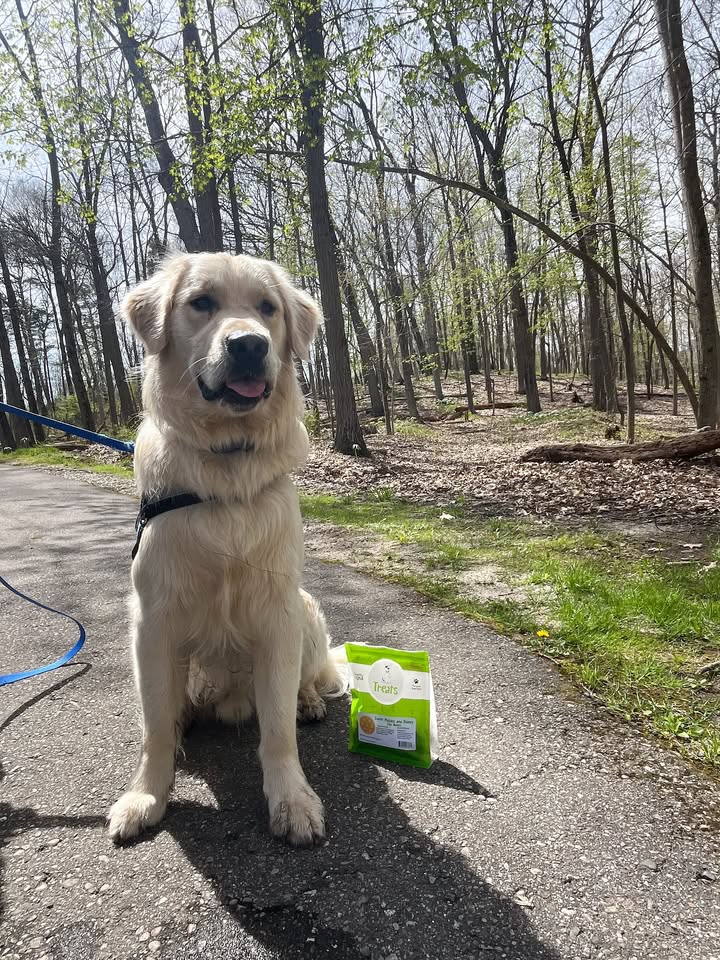 We want to see where you take your Healthy Dogma!