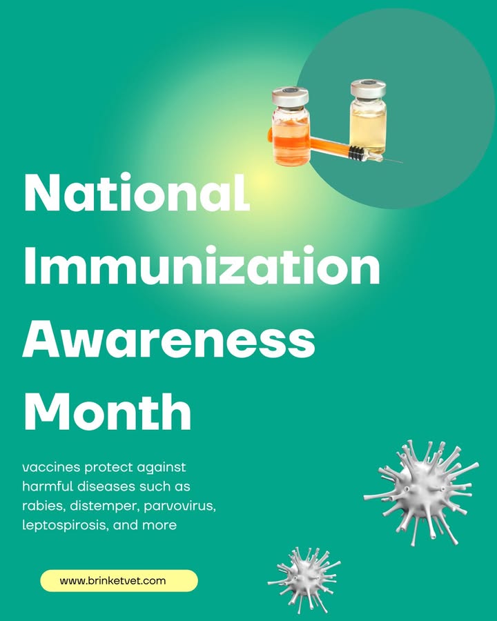 This month we bring awareness to the importance of vaccines in pets