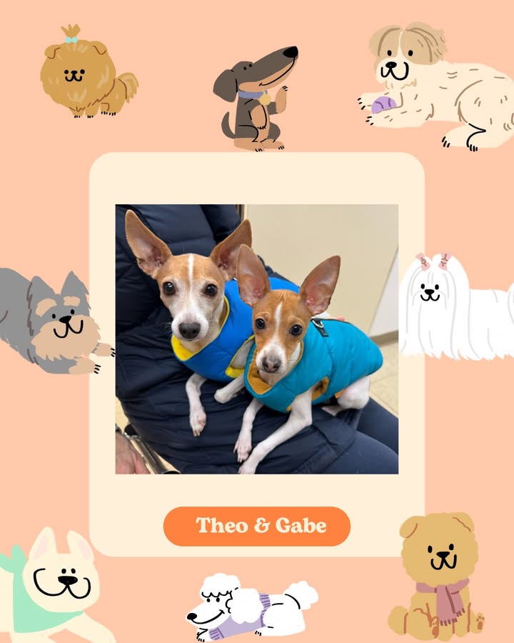 Theo and Gabe were bundled up and ready for the winter weather when they came to see Dr