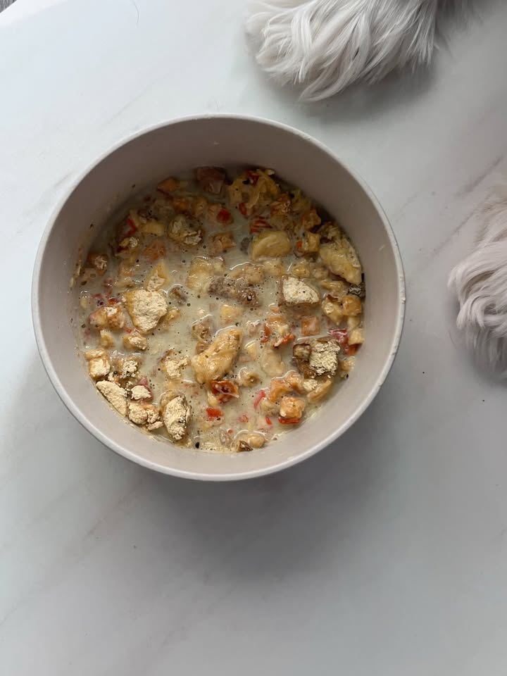 Paws at the table because real food smells that good 🐾🍲