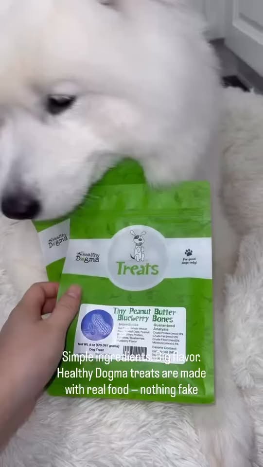 Healthy treats for healthy pups 🐾