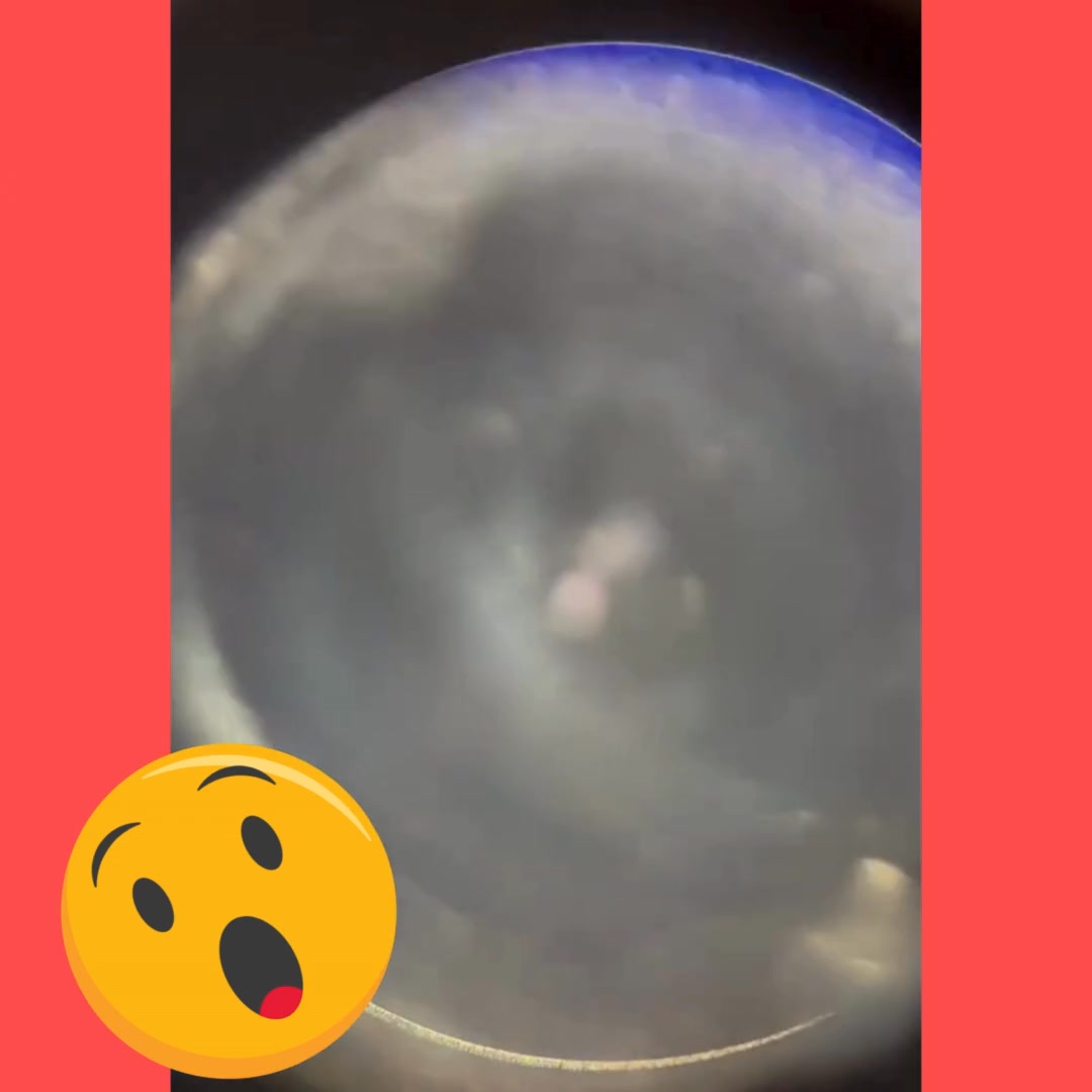 Do you see it?