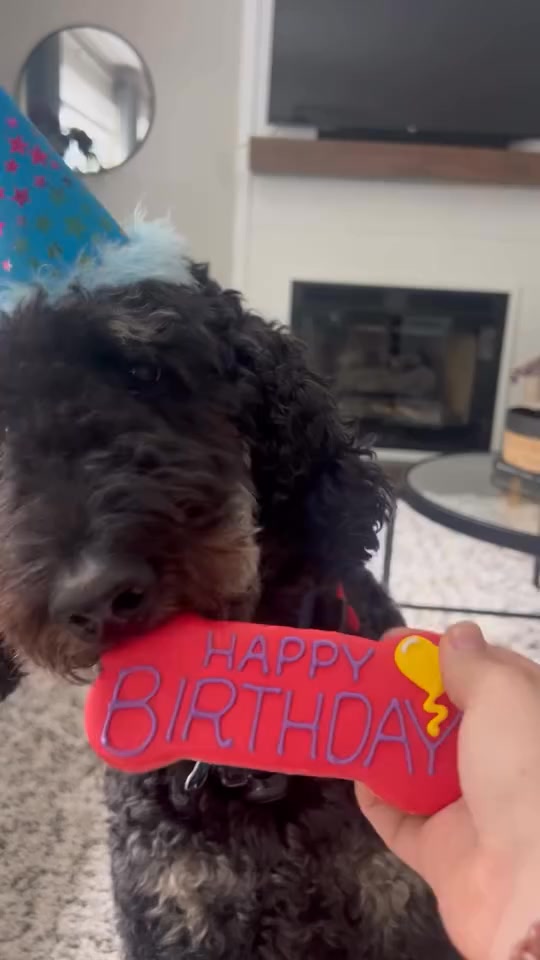 Happy Birthday Timber!