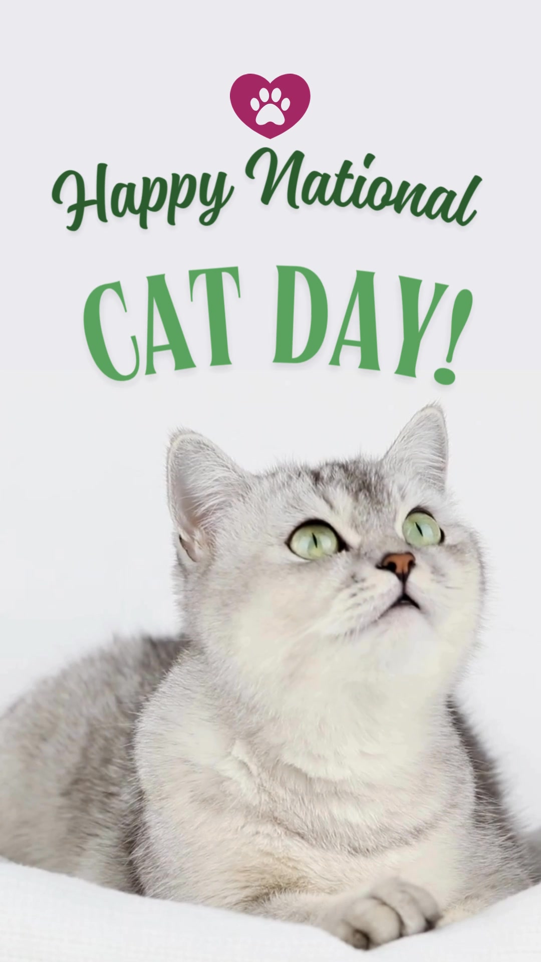 Happy International Cat Day!
