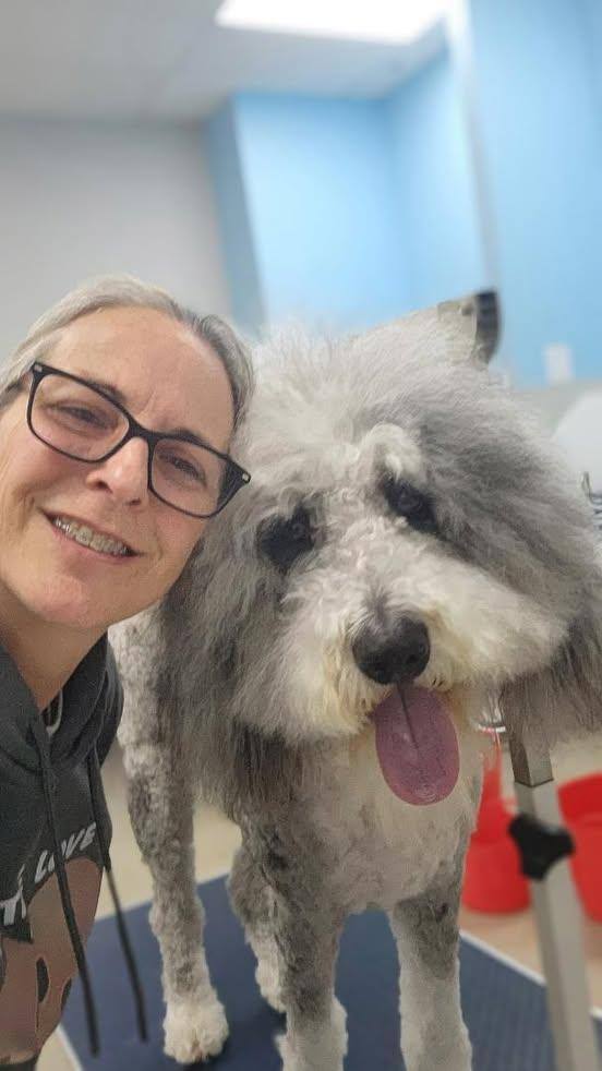 Photos from Love 4 Dogs's post