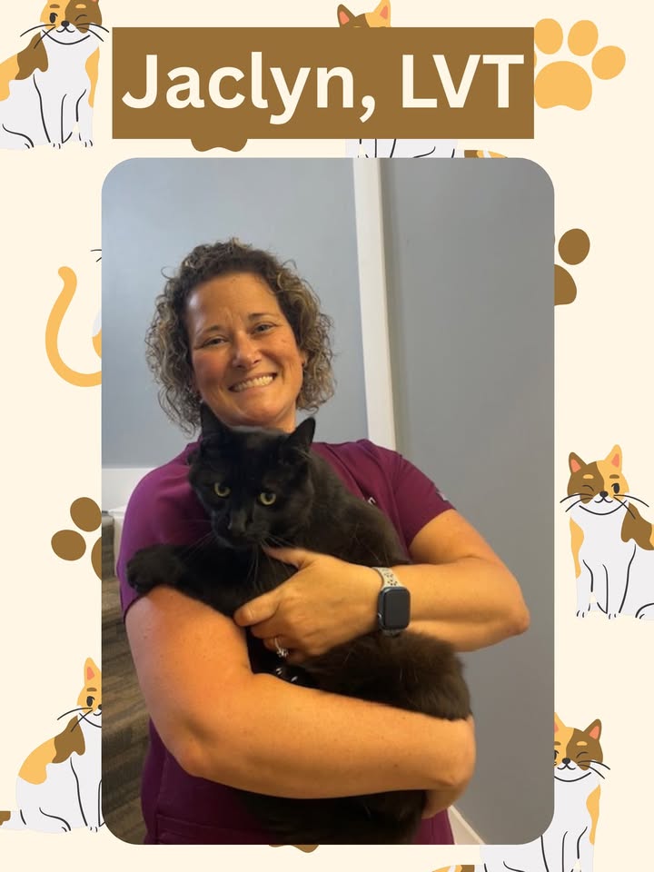 Jaclyn is another one of our amazing licensed veterinary technicians