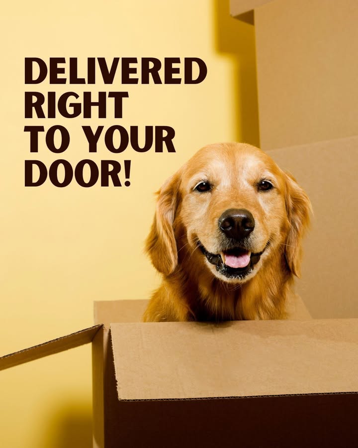 Does your furbaby need a refill of their preventatives or prescription?