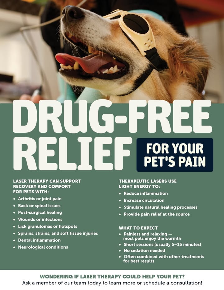 A post from Orion Animal Care Center