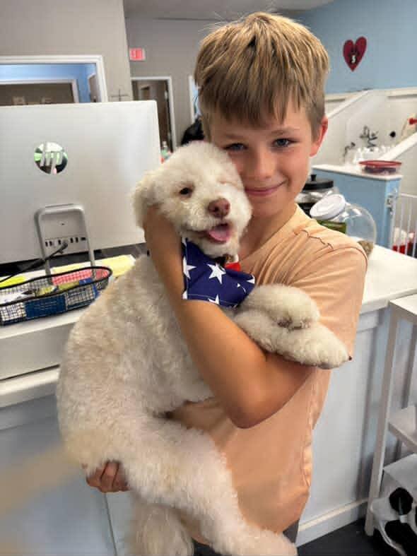 Photos from Love 4 Dogs's post