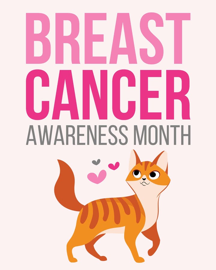 Did you know spaying your female fur baby protects them against mammary (breast) cancer?