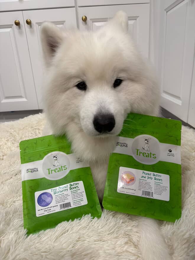 Photos from Healthy Dogma's post