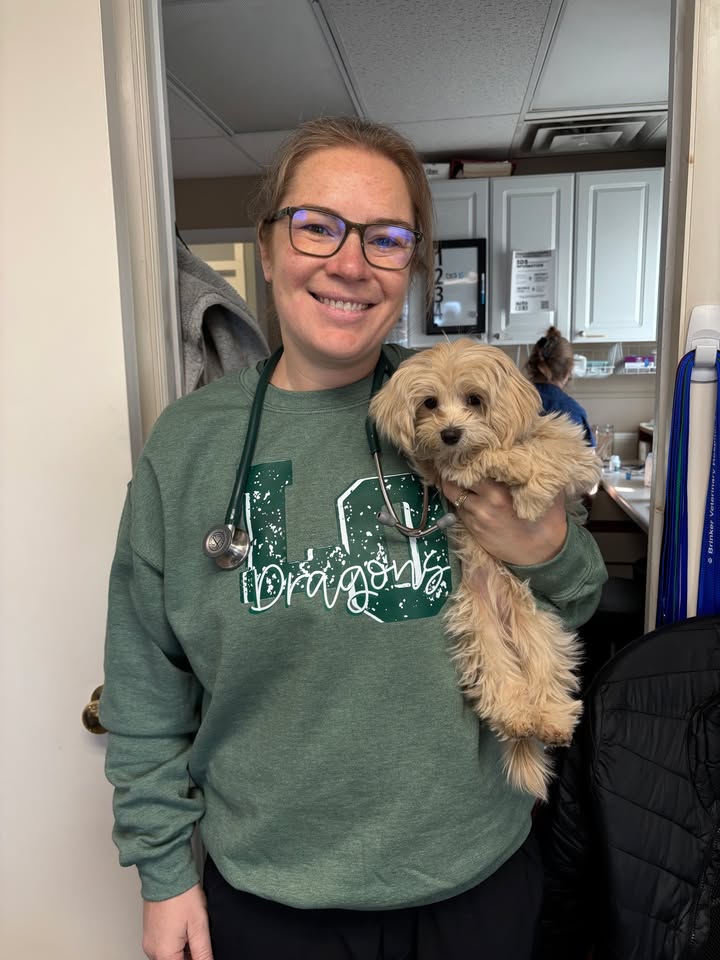 Photos from Brinker Veterinary Hospital's post