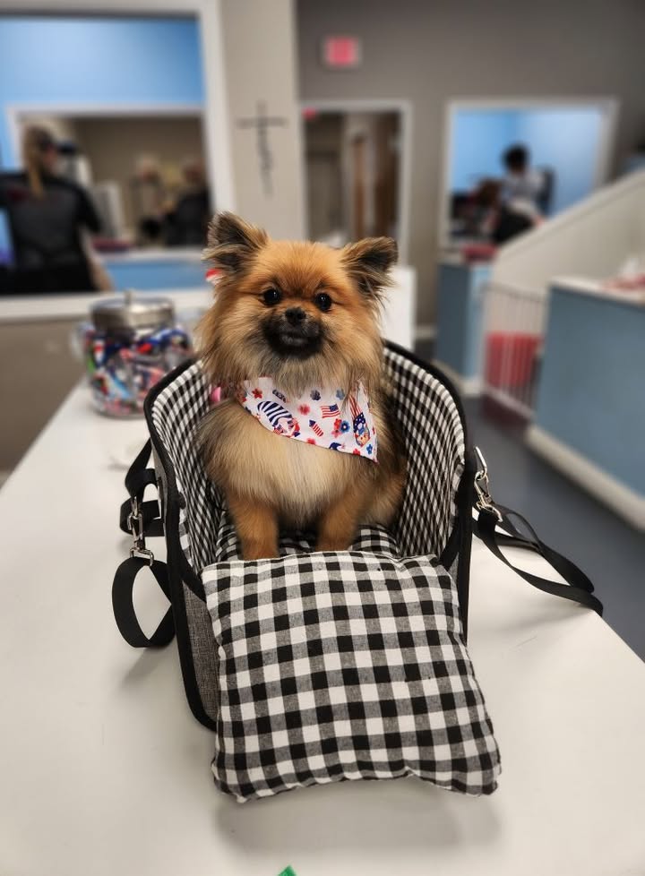 Hi! I'm CUTE! ❤️🐾