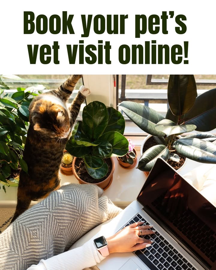 Skip the hold music 🎶 and book your pet’s vet visit online at your convenience