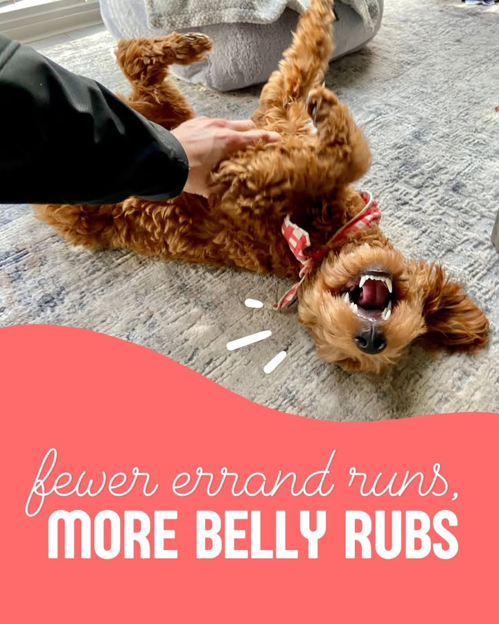 Fewer errand runs, more belly rubs