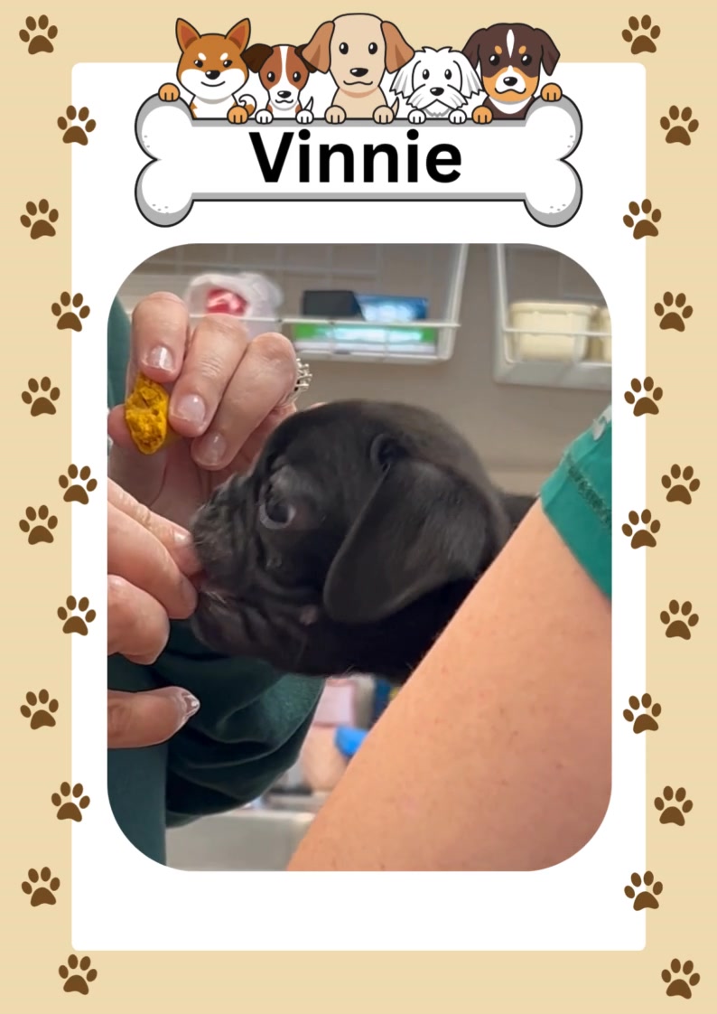 Remember our post about the fabulous Fall treats?