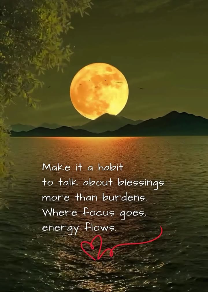 Happy Sunday! 🙏❤️🐾