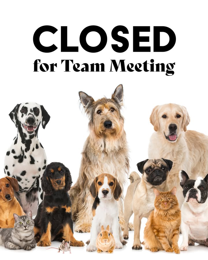 🚨 Important Announcement!