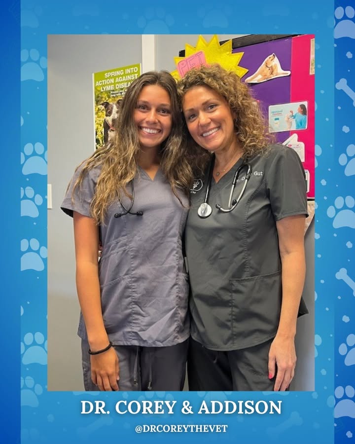 Yesterday we welcomed Dr