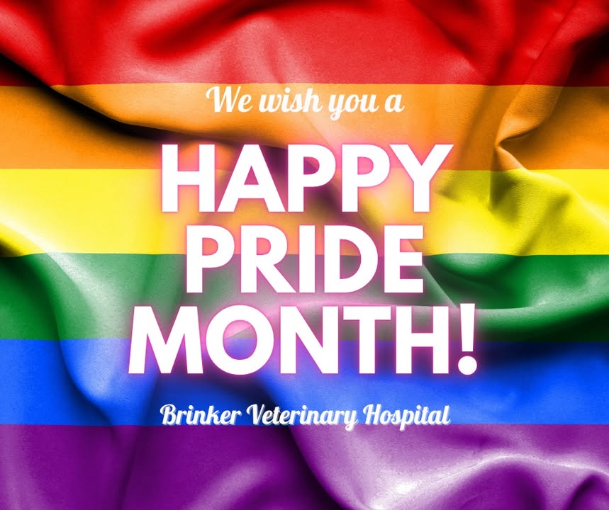 Happy Pride Month from Brinker Veterinary Hospital!