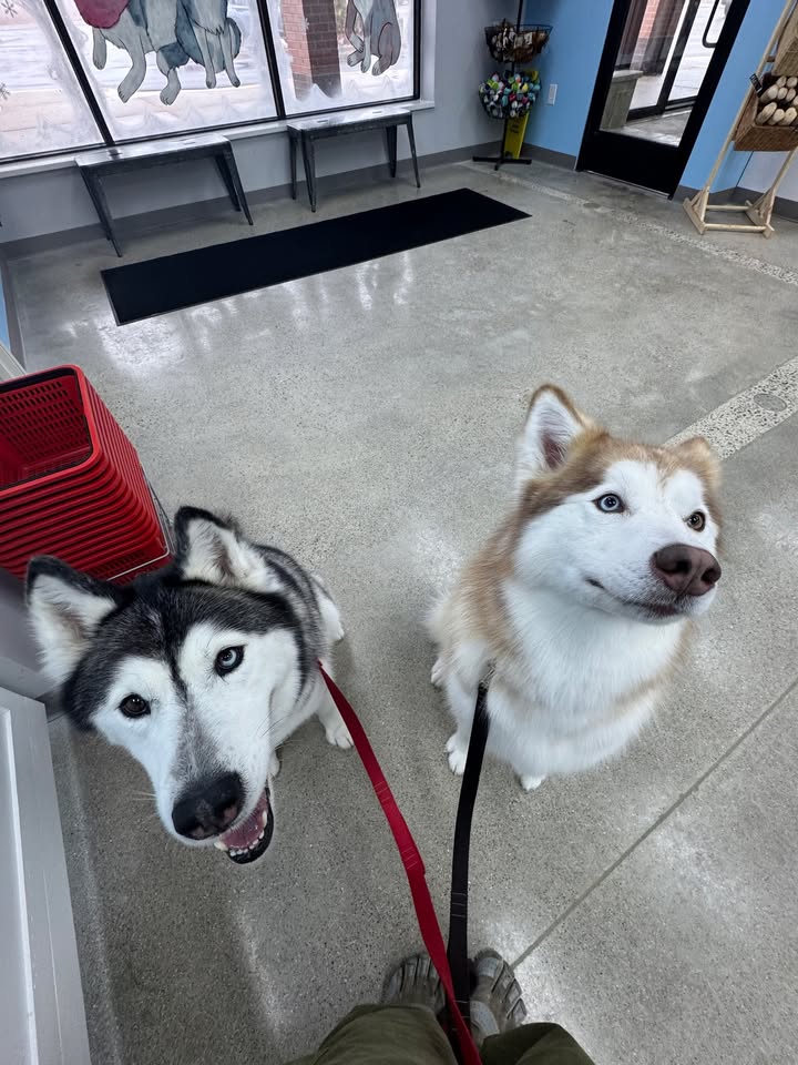Beautiful babies waiting for Mom! ❤️🐾