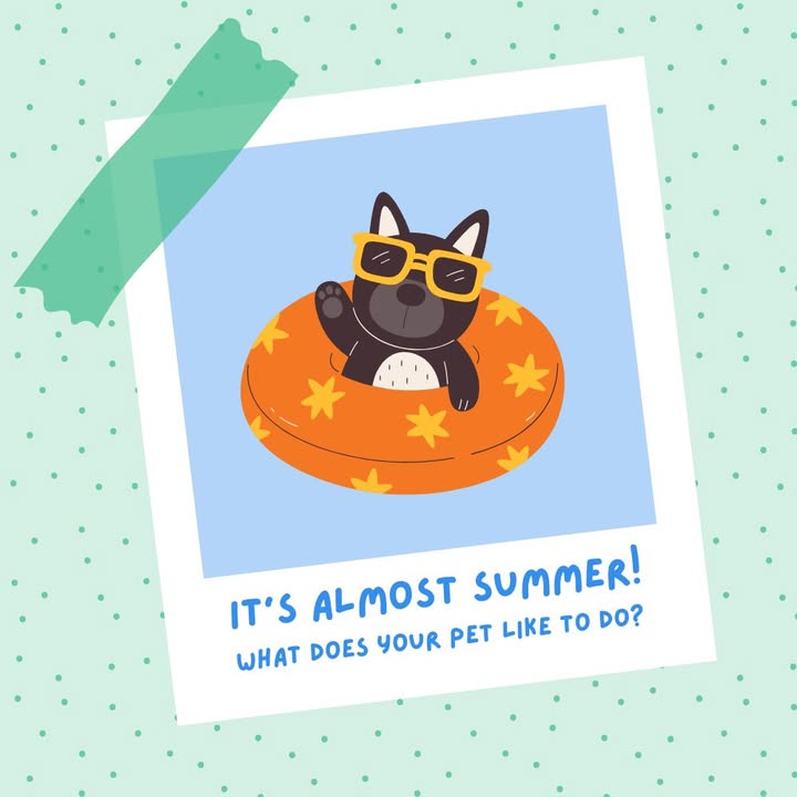 Summer is almost here!