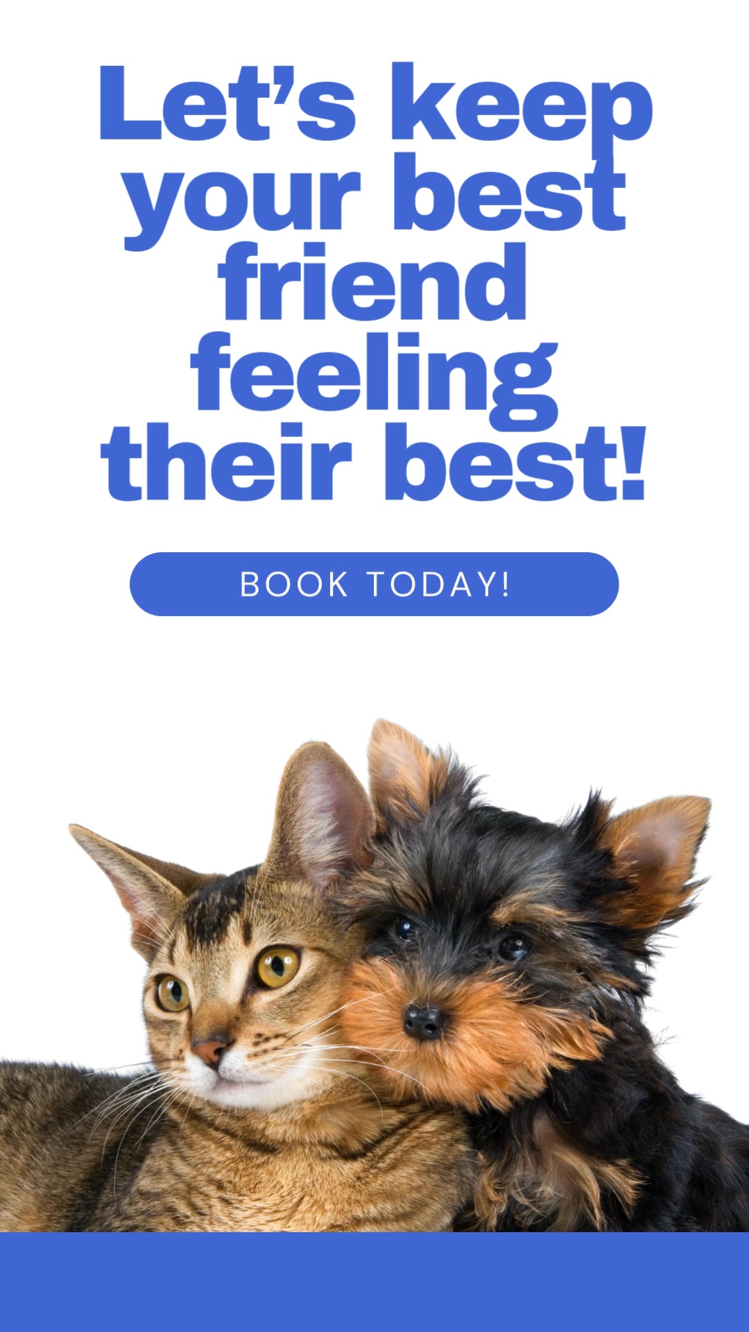 Wellness exams can help catch what your pet can’t tell us