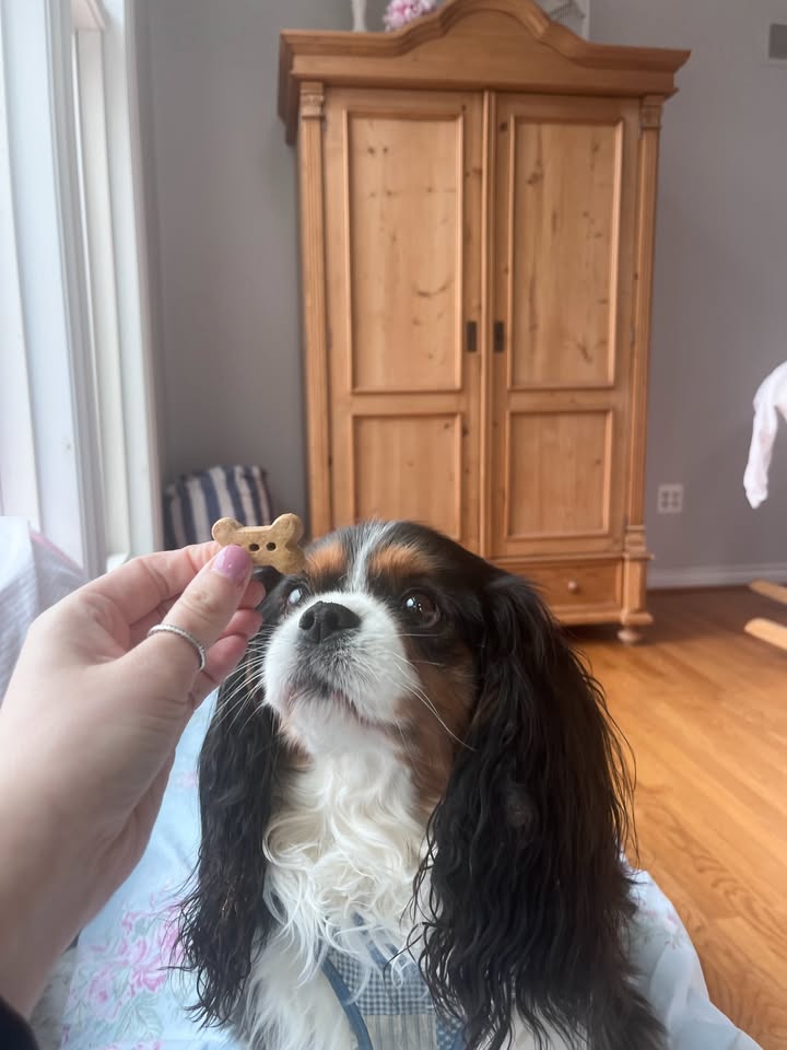 Soft, chewy and packed with protein!