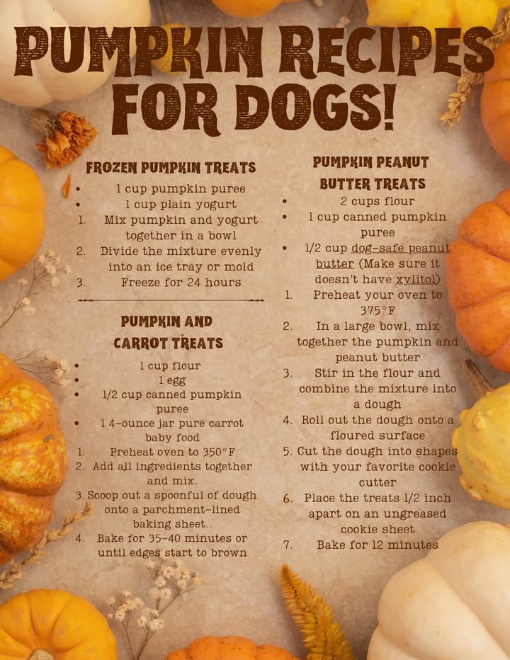 Check out these Fall treats for your canine pets!
