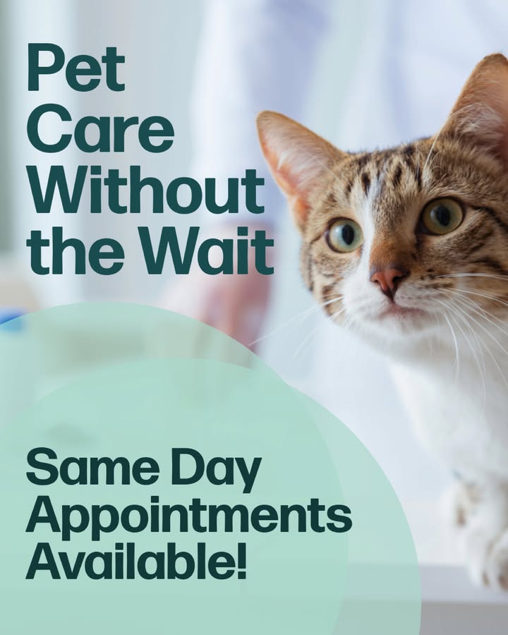 We offer same-day appointments for those unexpected moments
