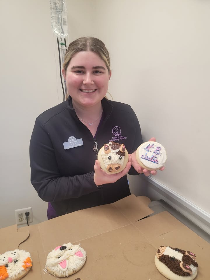 Photos from Lake Orion Veterinary Hospital's post