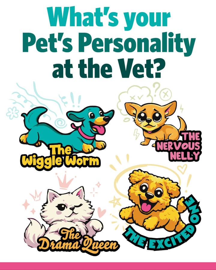 Every pet has a personality - especially at the vet